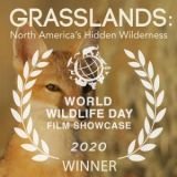 Füves pusztaságok: Észak-Amerika rejtett vadonjai
