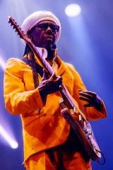Nile Rodgers