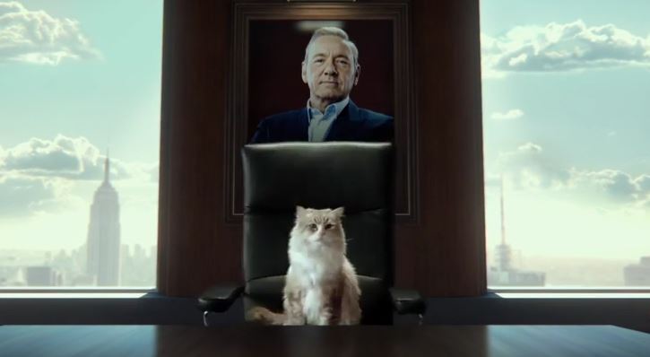 Kevin Spacey macskává változik a Nine Lives előzetesében