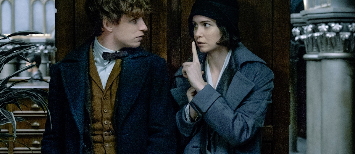 Kiderült, hogy miről szól a Legendás állatok és megfigyelésük 2