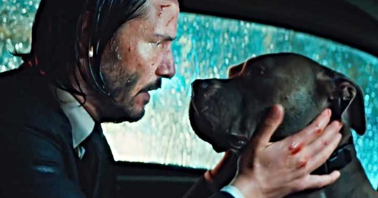 Mindenki nyugodjon meg, a kutya biztonságban van a John Wick 3-ban! Mindenki nyugodjon meg, a kutya biztonságban van a John Wick 3-ban!