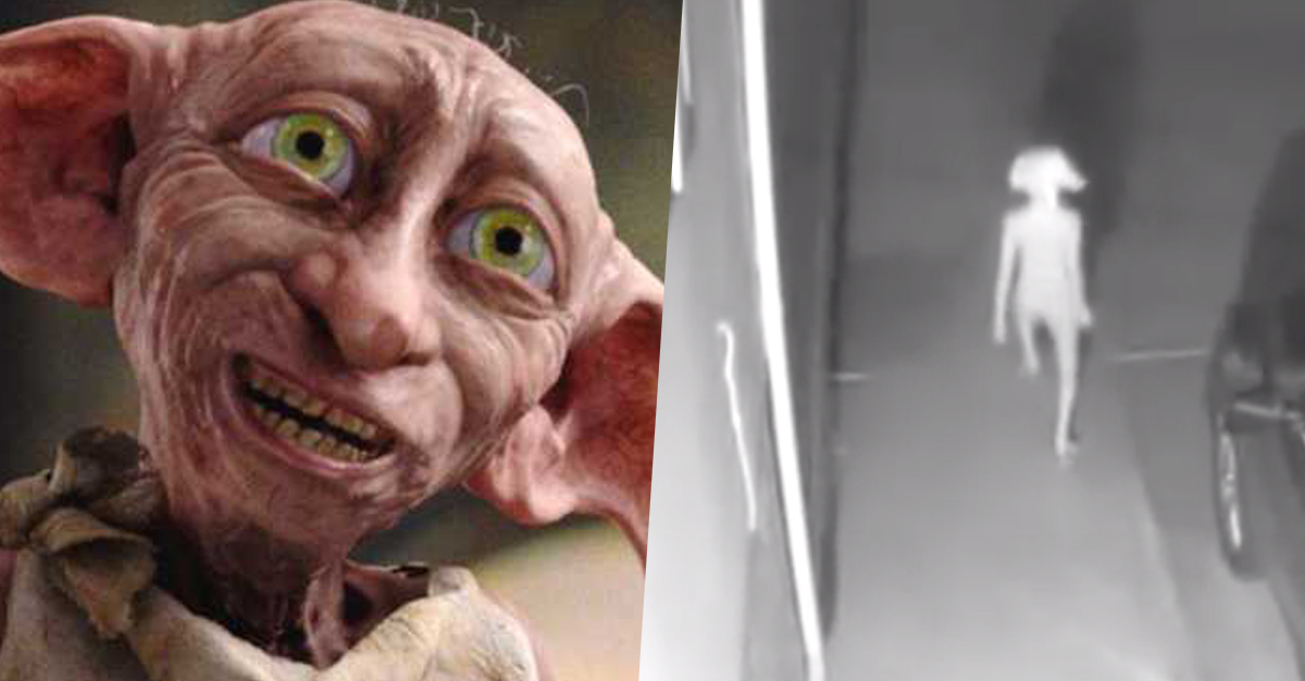 Dobby a valóságban is létezik? Egy biztonsági kamerás felvétel kiakasztotta a Harry Potter rajongókat Dobby a valóságban is létezik? Egy biztonsági kamerás felvétel kiakasztotta a Harry Potter rajongókat