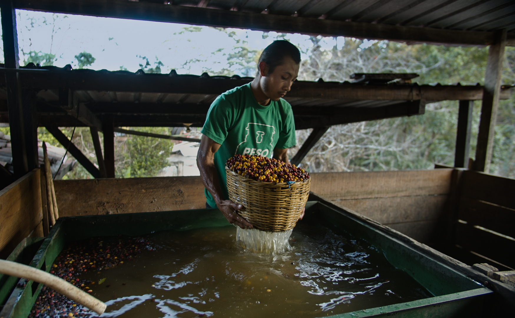 Az igazi fair-trade nyomában - Ingyenesen nézhető a specialty kávéról szóló dokumentumfilm! Az igazi fair-trade nyomában - Ingyenesen nézhető a specialty kávéról szóló dokumentumfilm!