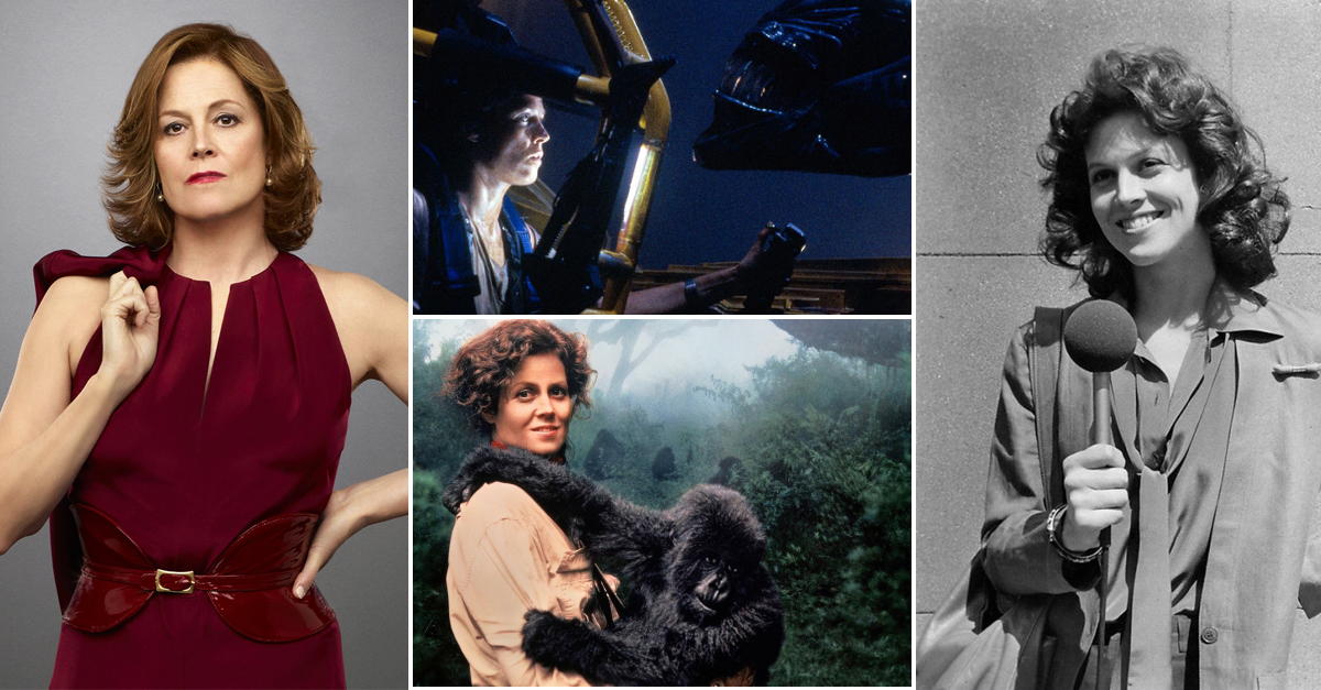 Egy karrier képekben: Sigourney Weaver, a legkeményebb nő Hollywoodban! Egy karrier képekben: Sigourney Weaver, a legkeményebb nő Hollywoodban!