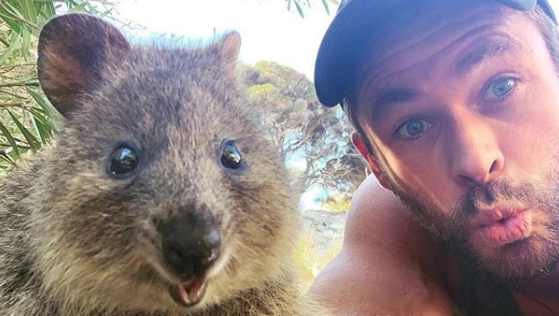 Bemutatjuk Chris Hemsworth újdonsült barátját