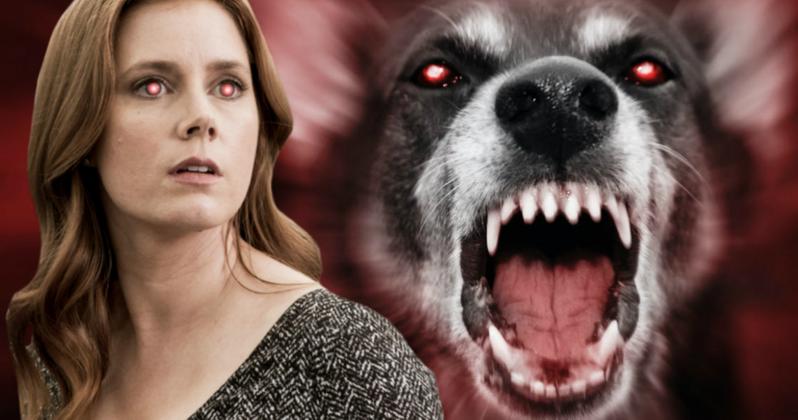 Amy Adams azt hiszi, hogy kutyává fog változni Amy Adams azt hiszi, hogy kutyává fog változni