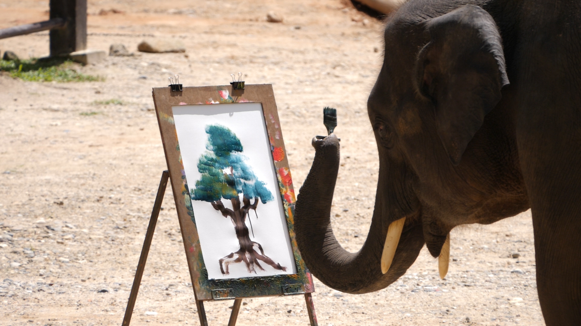 Magyar filmsiker Krakkóban!