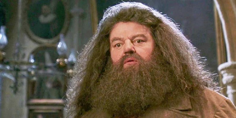 Hagrid visszatérhet a Legendás állatok új részében? Hagrid visszatérhet a Legendás állatok új részében?