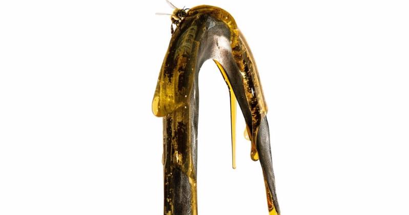 Hidegrázós horrort ígért a Kampókéz remake-je, itt az előzetes! Hidegrázós horrort ígért a Kampókéz remake-je, itt az előzetes!