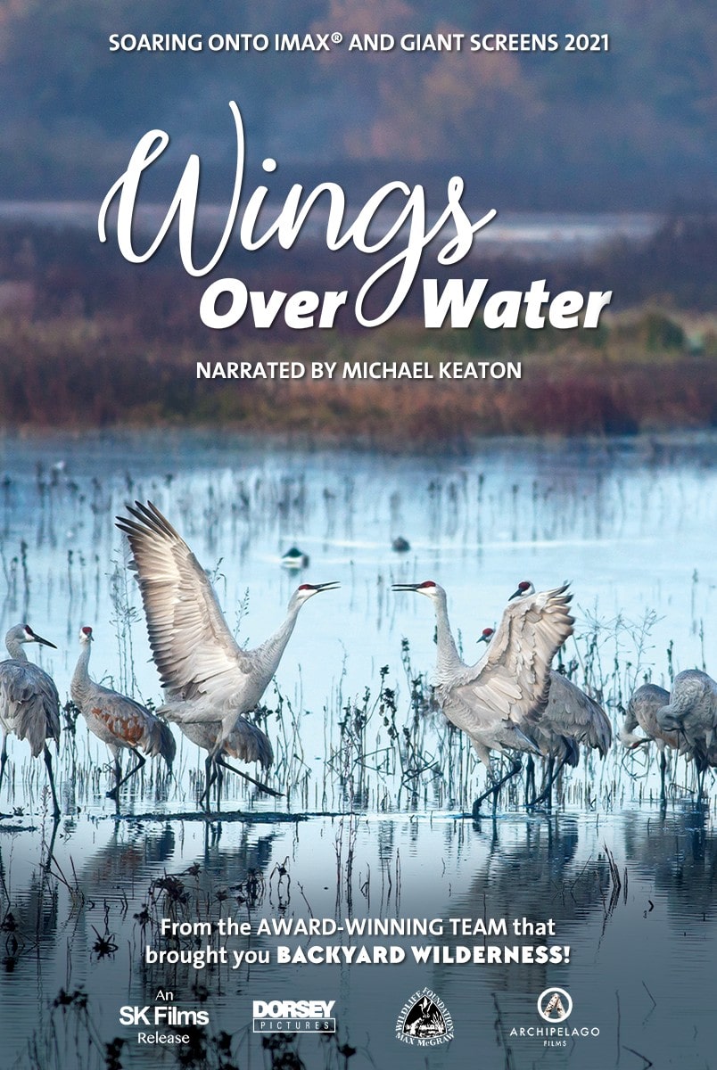 Wings Over Water (film, 2021) Kritikák, videók, szereplők MAFAB.hu