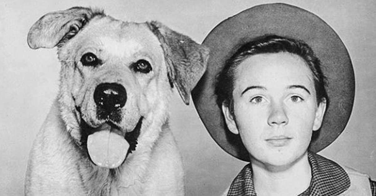 Elhunyt a Disney egykori gyereksztárja, Tommy Kirk