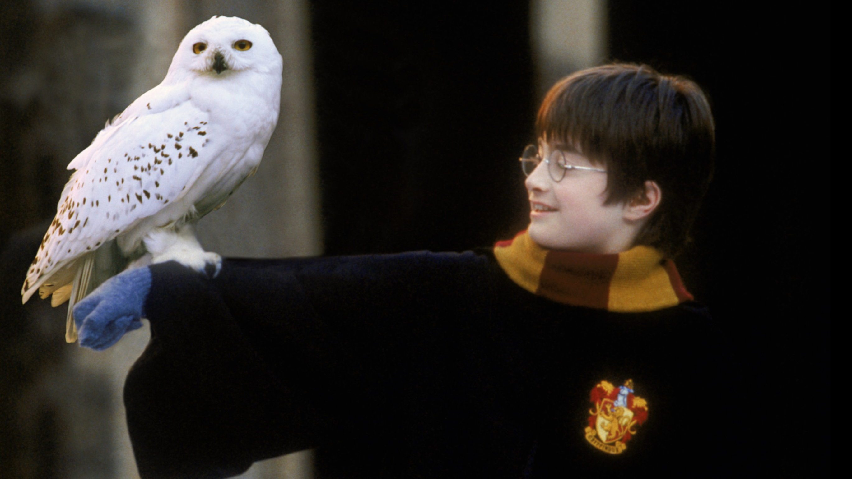 Harry Potter: A valós személy, akiről Hedwiget, a baglyot 'mintázták' Harry Potter: A valós személy, akiről Hedwiget, a baglyot 'mintázták'