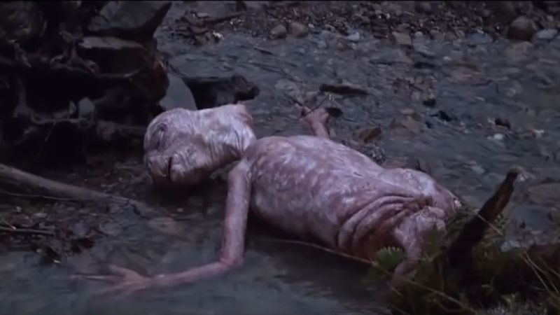 Ha Te is féltél E.T.-től gyerekkorodban, adj hálát az égnek, hogy nem készült el a folytatás! Ha Te is féltél E.T.-től gyerekkorodban, adj hálát az égnek, hogy nem készült el a folytatás!
