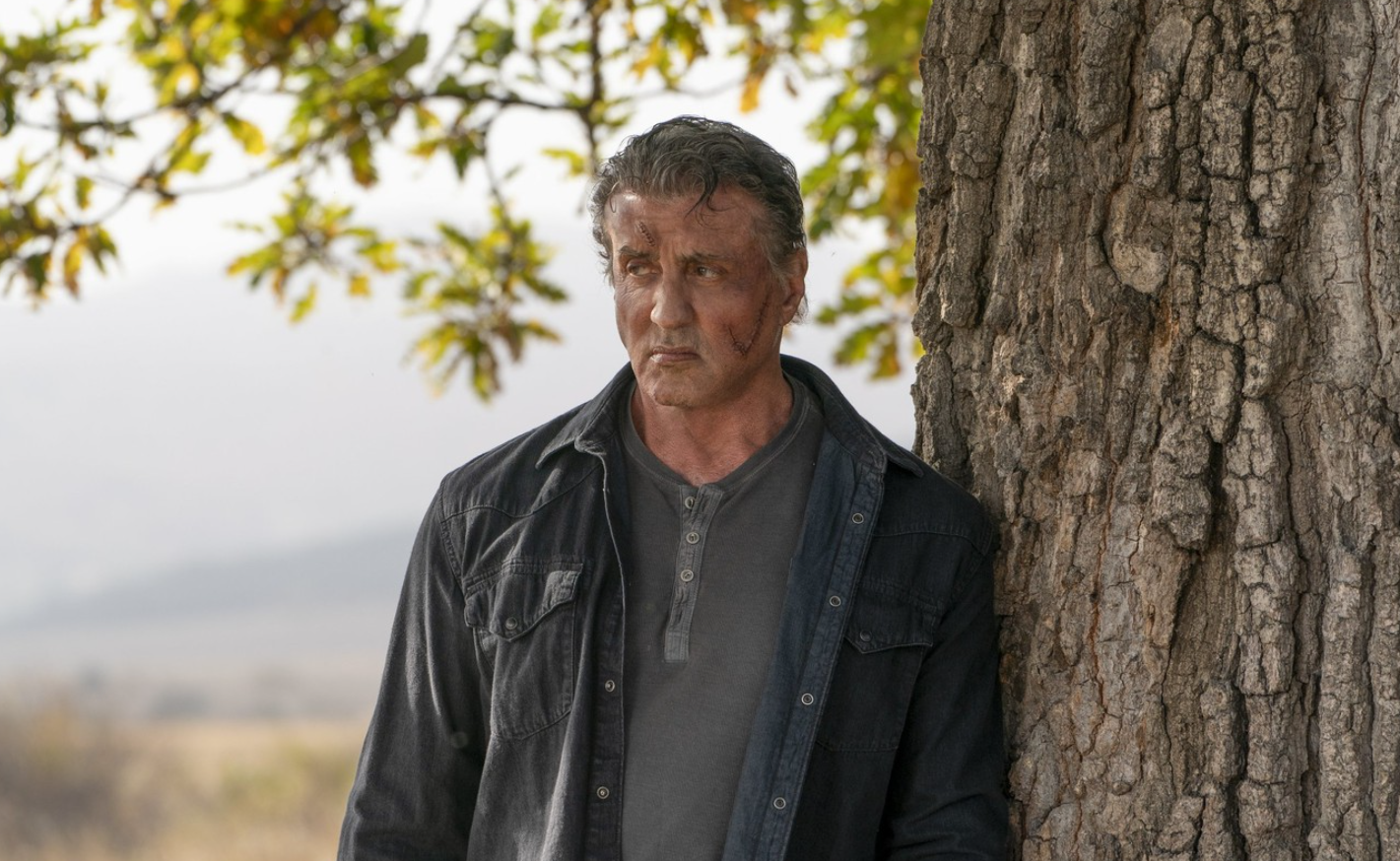 Sylvester Stallone jó nagy fába vágta a fejszéjét, meg is mutatta a terveit!