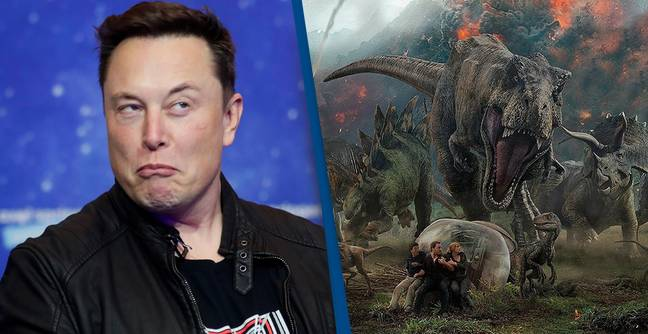 Jöhet a világvége? Elon Musk megépítheti a valódi Jurassic Parkot Jöhet a világvége? Elon Musk megépítheti a valódi Jurassic Parkot