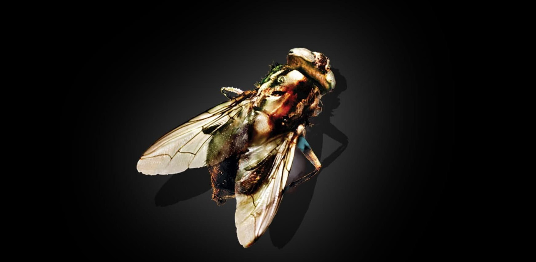 Szabályosan elájulhatnak a nézők a kultrendező új testhorrorjától