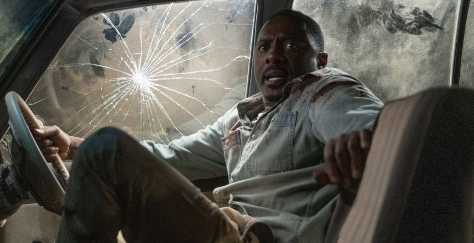 Gyilkos ösztönök: 16 hátborzongató állatos film