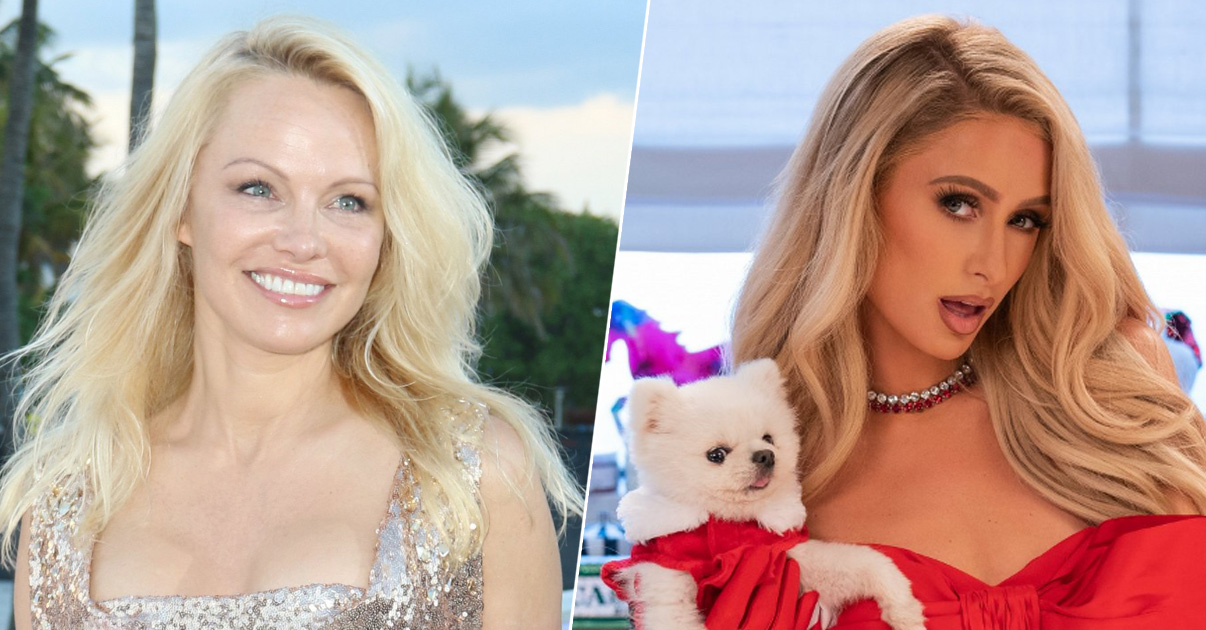 Erotikus thrillerrel jön Pamela Anderson és Paris Hilton, előzetes is van hozzá (videó)