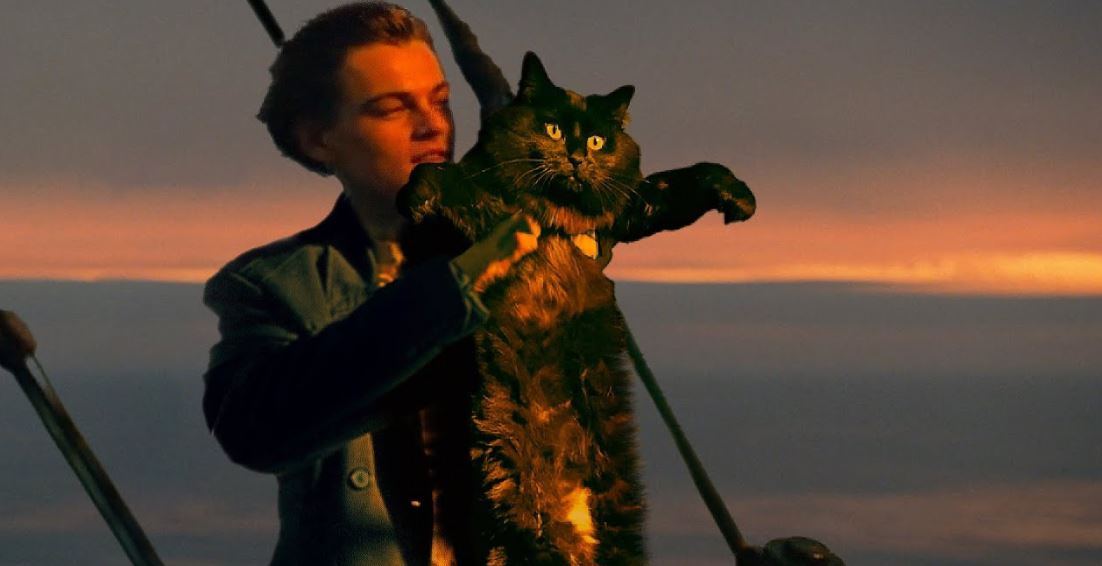 Ez a macskás Titanic-videó volt az idei Valentin-nap fénypontja Ez a macskás Titanic-videó volt az idei Valentin-nap fénypontja