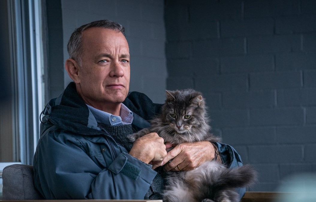 Tom Hanks tényleg utálja néhány saját filmjét  Tom Hanks tényleg utálja néhány saját filmjét
