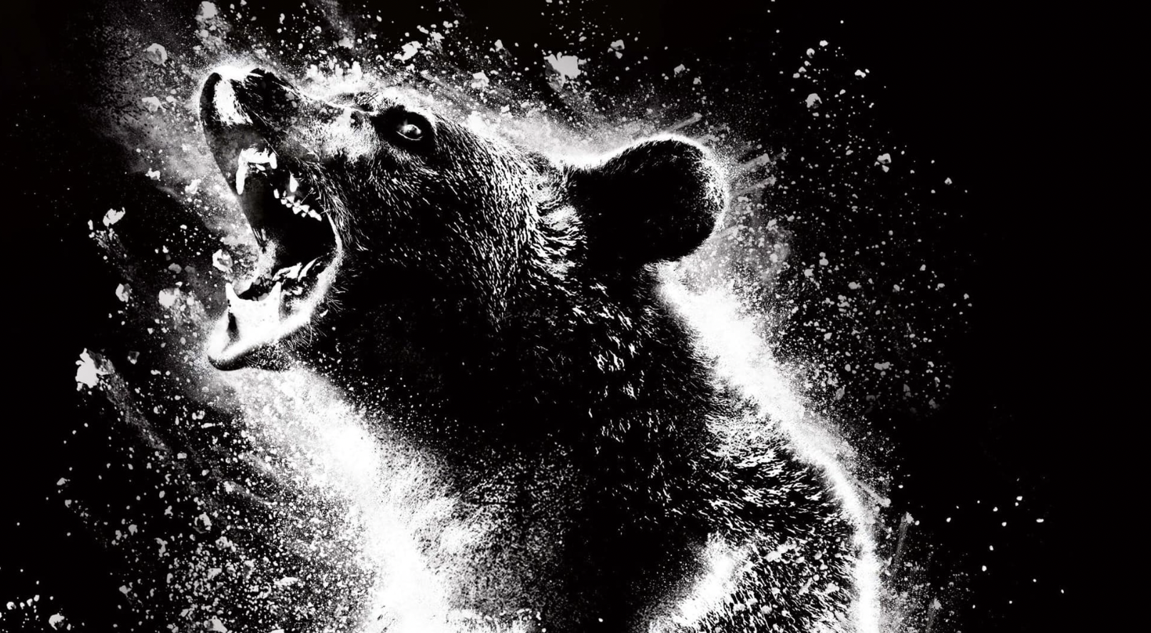 A természet bosszúja: Kokainmedve A természet bosszúja: Kokainmedve