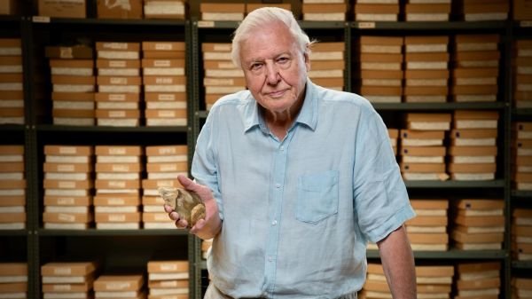 Végre! David Attenborough elkészítette a legendás sorozatának 3. szezonját
