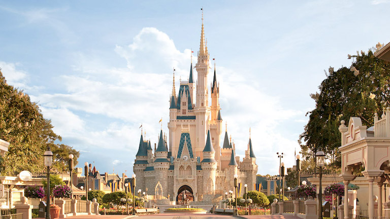 Betévedt egy medve a Disney Worldbe