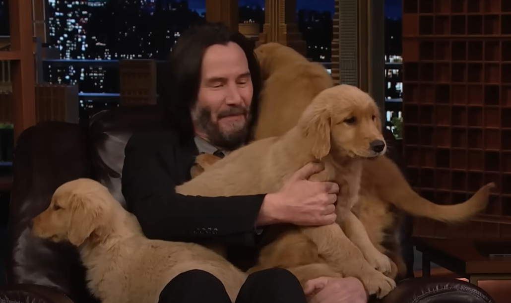 Keanu Reeves és egy csapat kölyökkutya a hónap legcukibb videójában Keanu Reeves és egy csapat kölyökkutya a hónap legcukibb videójában