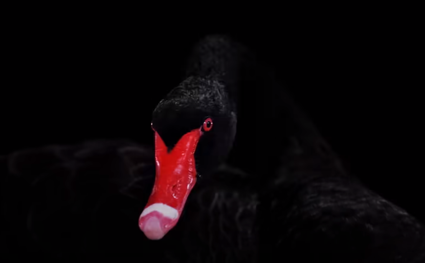 4 új sorozat is érkezett ma streamingre, köztük a hónap egyik legerősebb címével (Netflix, Disney+)