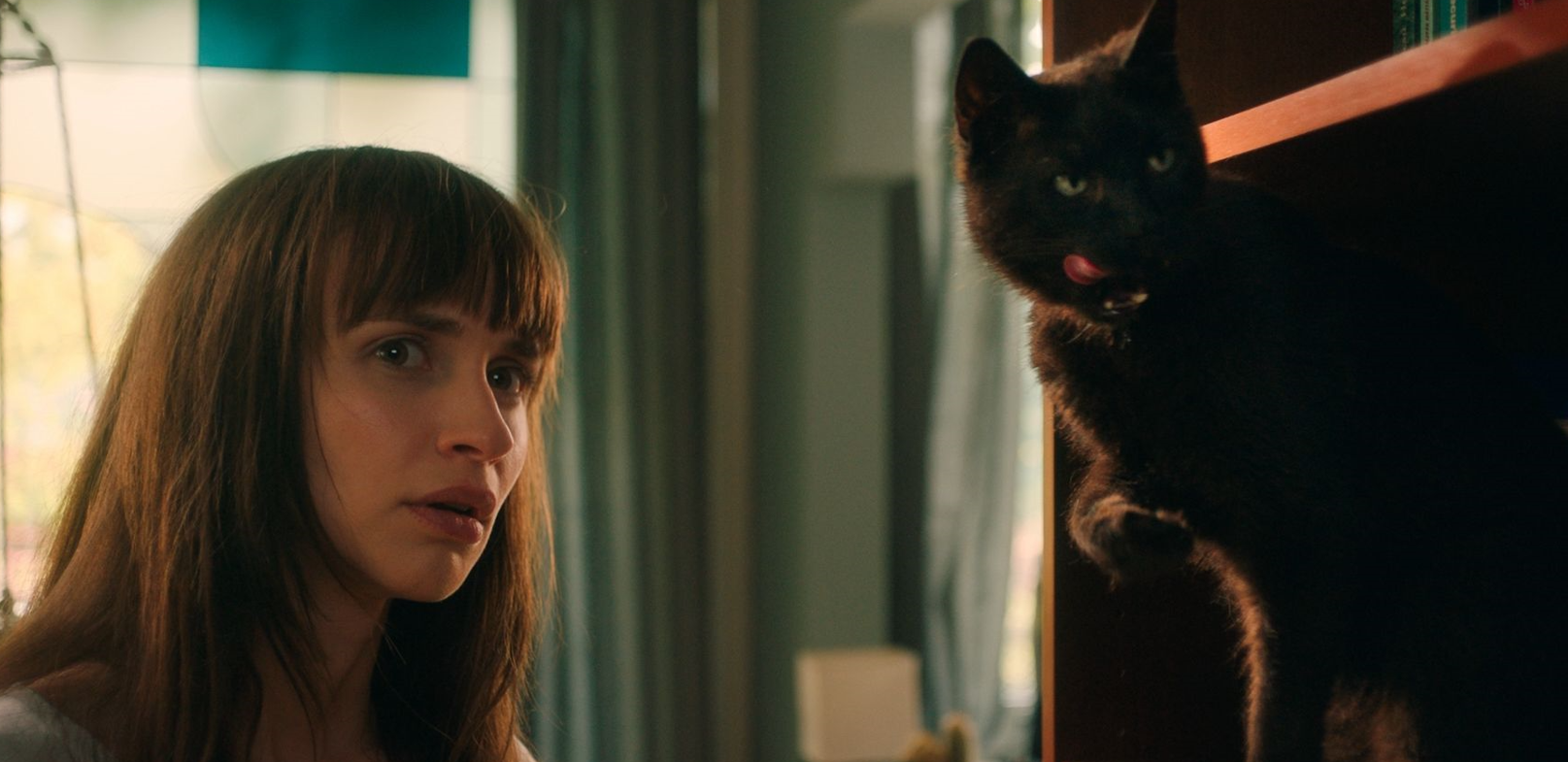 A londoni Raindance Filmfesztiválon versenyez a Cicaverzum