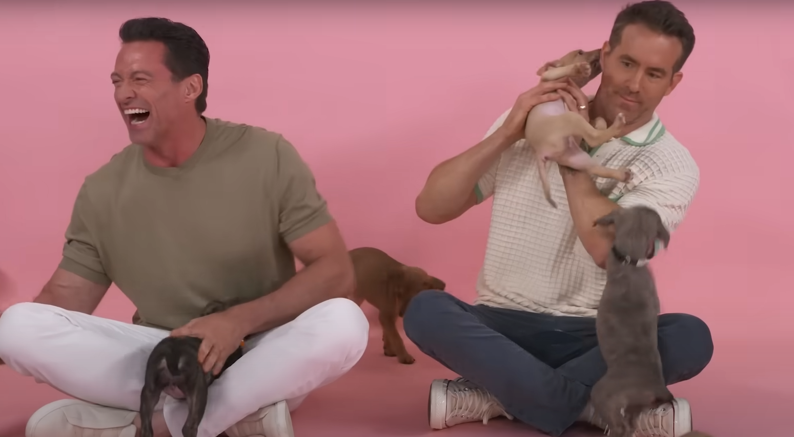Ryan Reynolds és Hugh Jackman kiskutyás videójánál ma már nem fogsz cukibbat látni Ryan Reynolds és Hugh Jackman kiskutyás videójánál ma már nem fogsz cukibbat látni