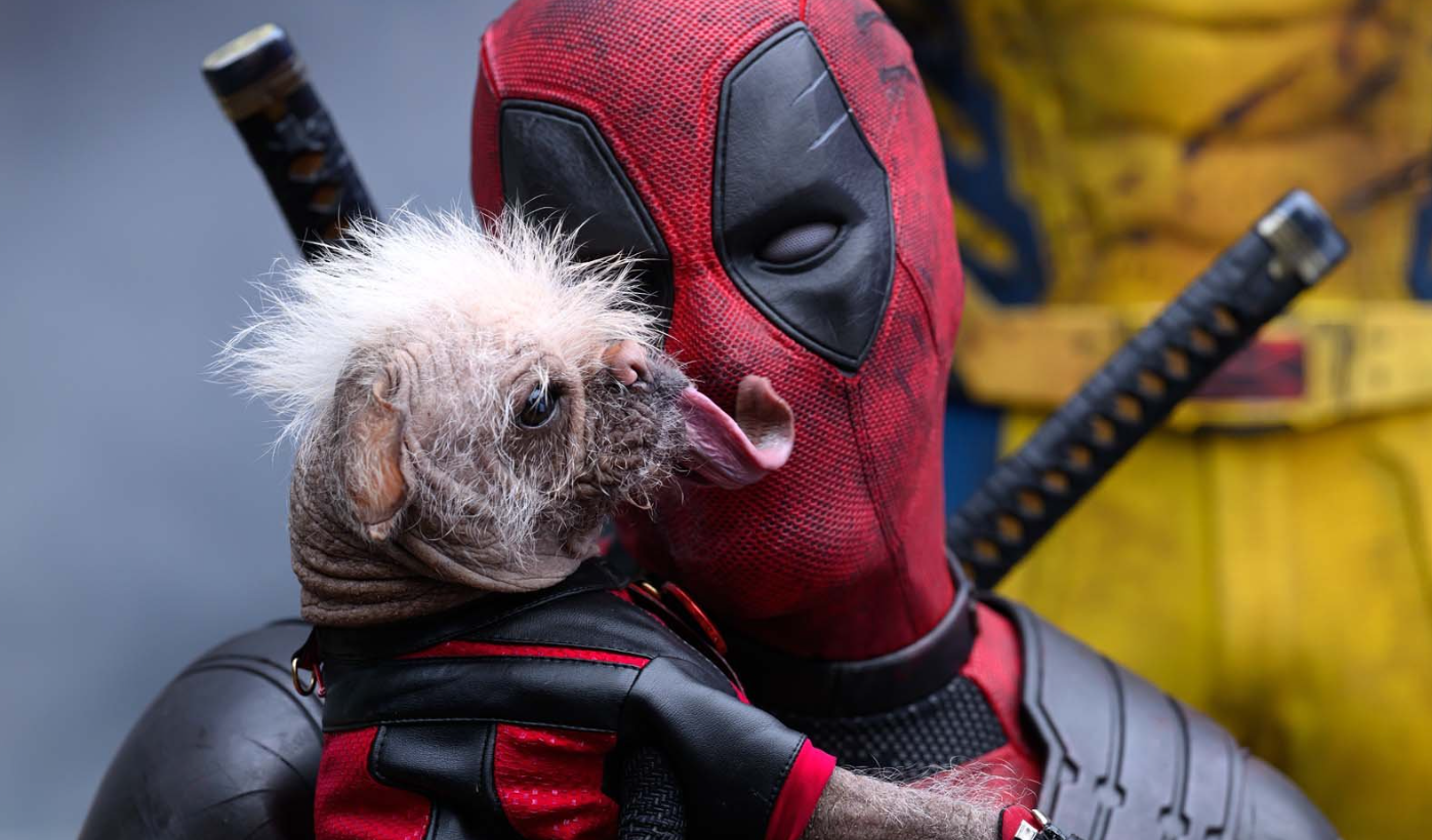 Ryan Reynolds nagyon sajnálja, de ezt a cameót ki kellett vágni a Deadpool & Rozsomákból