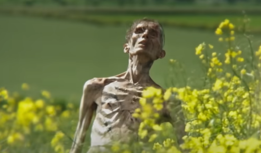 Itt a válasz arra, hogy tényleg Cillian Murphy látható-e zombiként a 28 évvel később előzetesében Itt a válasz arra, hogy tényleg Cillian Murphy látható-e zombiként a 28 évvel később előzetesében