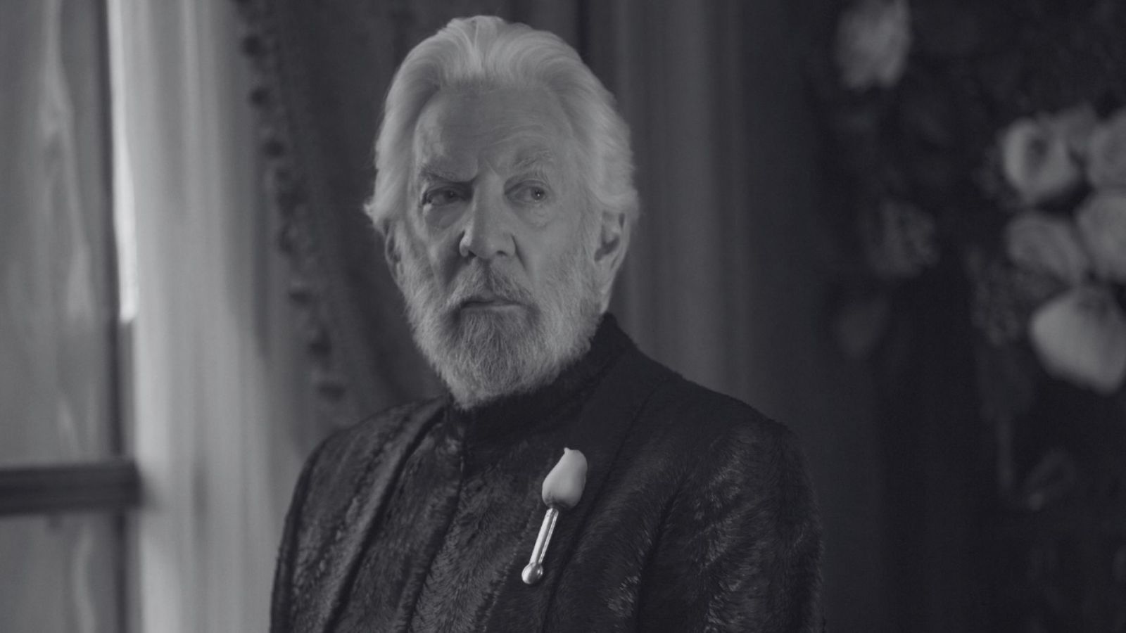 10 hollywoodi ikon, akiket 2024-ben veszített el a világ