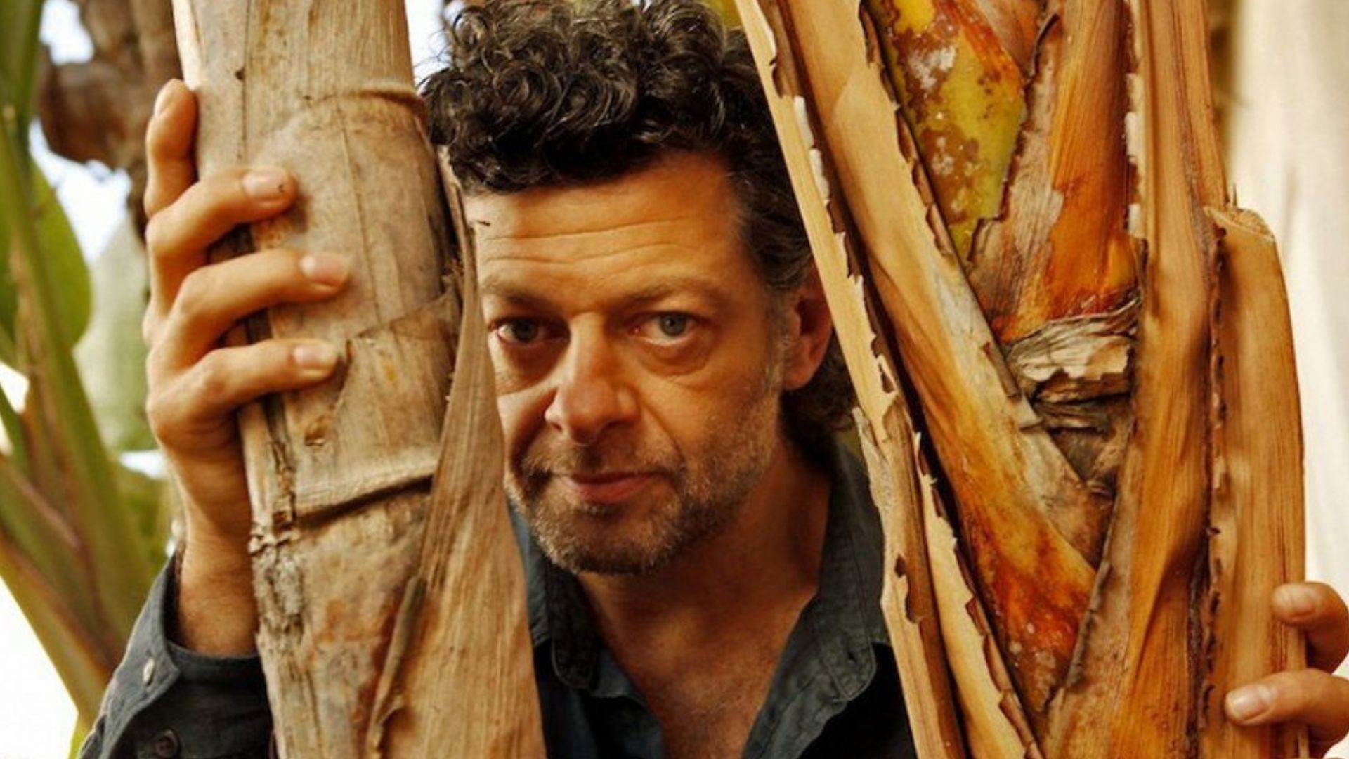 Óriási sztárparádéval jön Andy Serkis Állatfarm-adaptációja Óriási sztárparádéval jön Andy Serkis Állatfarm-adaptációja