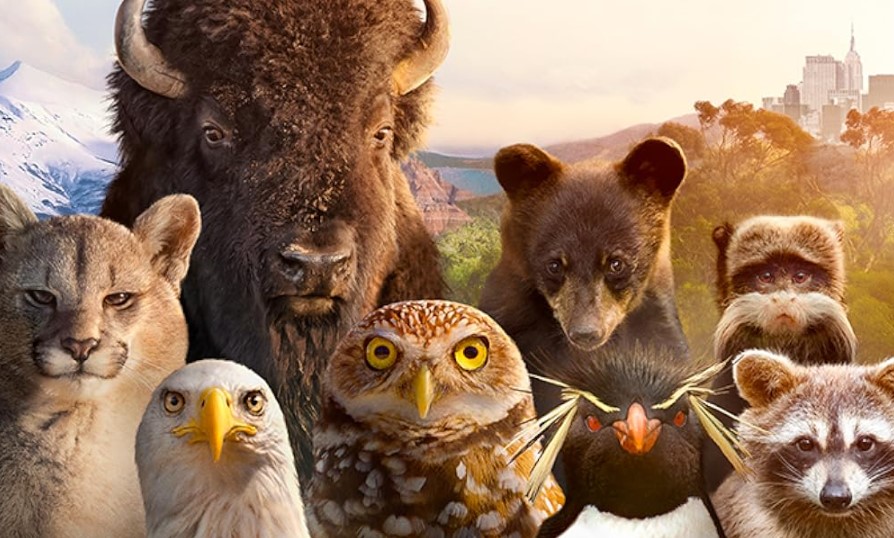 Mától streamingen: Végre megjött Tom Hanks új dokusorozata Mától streamingen: Végre megjött Tom Hanks új dokusorozata