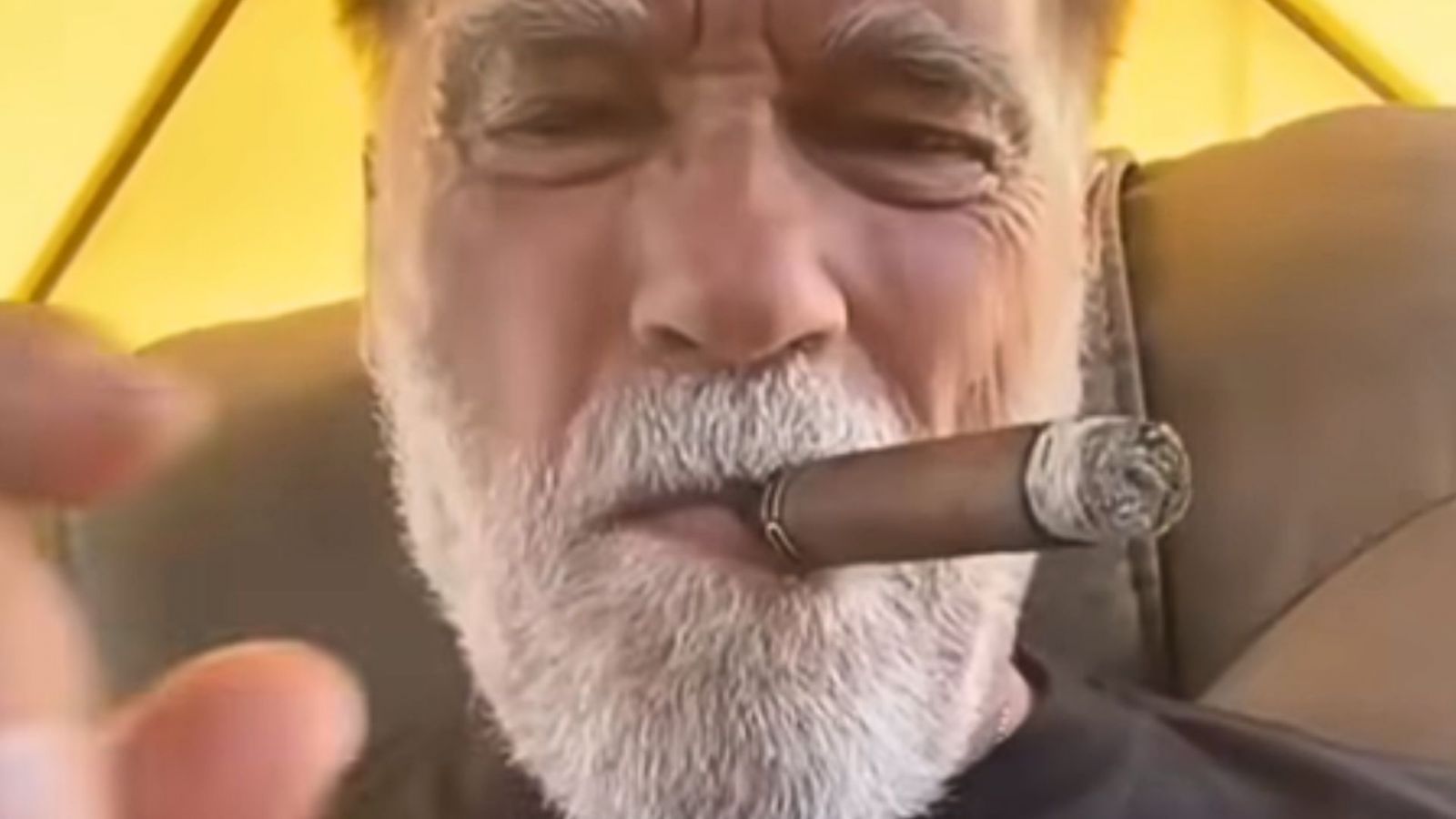 Arnold Schwarzenegger videóüzenetben köszöntötte a magyar kaszkadőr barátját, mutatjuk