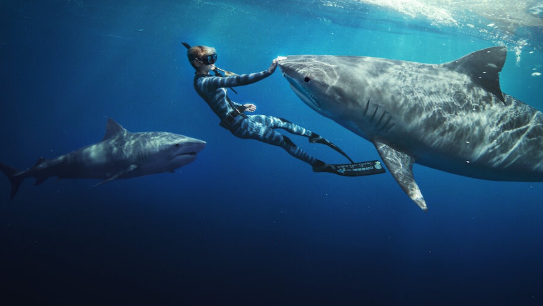 Mától a Netflixen: Ez az új dokumentumfilm megváltoztatja a cápákról alkotott képed