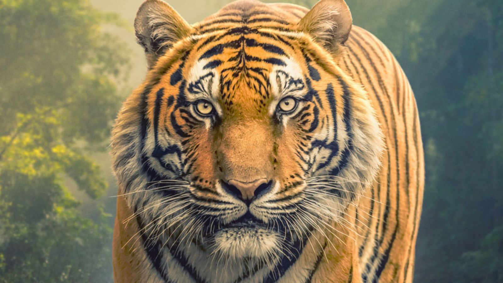 Már streamingen: Erről a lebilincselő, új dokusorozatról nem érdemes lemaradni