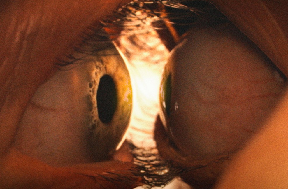 Mit nézzek? 4 új film, amit CSAK a mozikban láthatsz ezen a héten! (40. hét) Mit nézzek? 4 új film, amit CSAK a mozikban láthatsz ezen a héten! (40. hét)