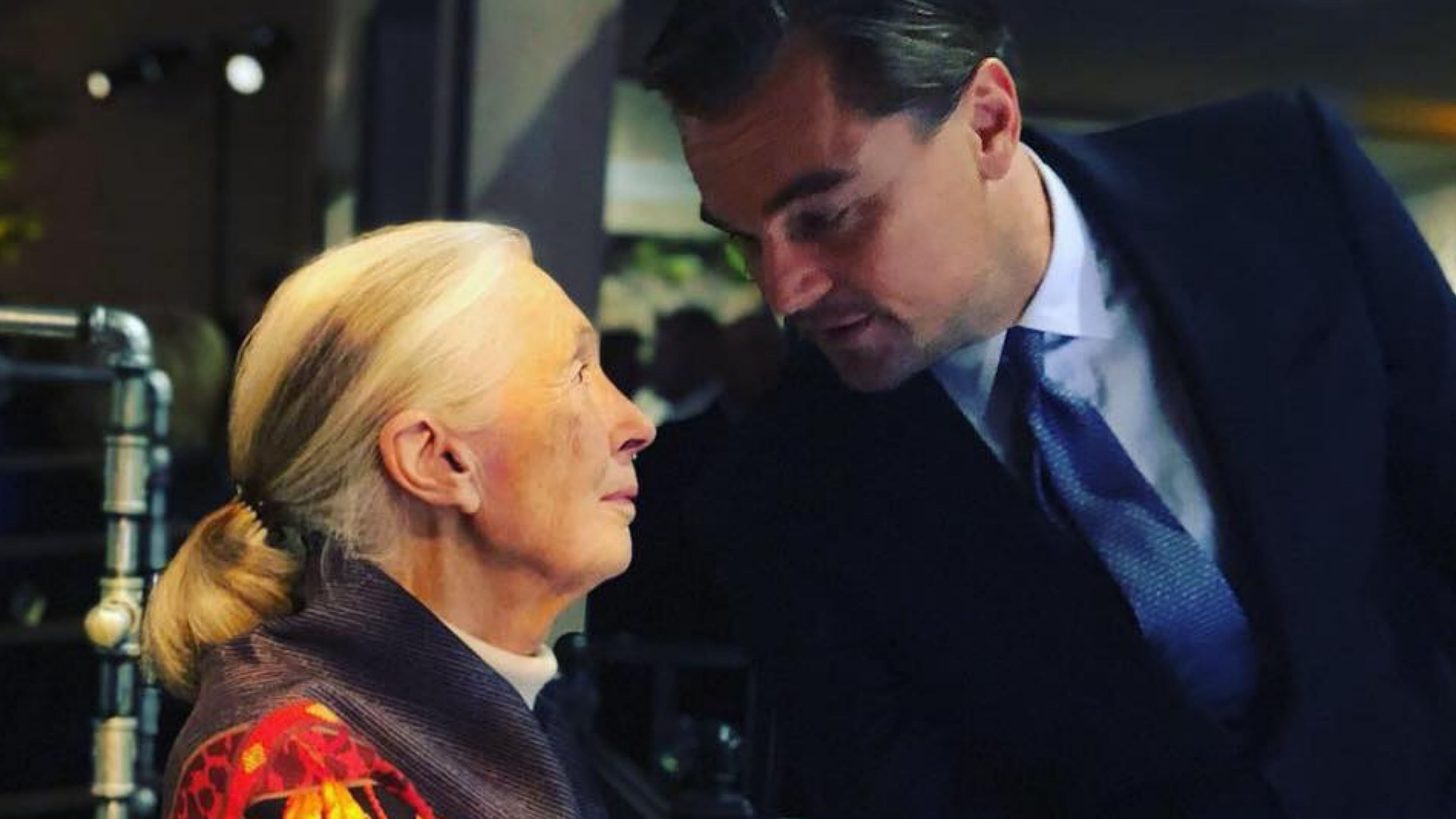 'A bolygó igazi hőse': Így tiszteleg Leonardo DiCaprio Jane Goodall emléke előtt