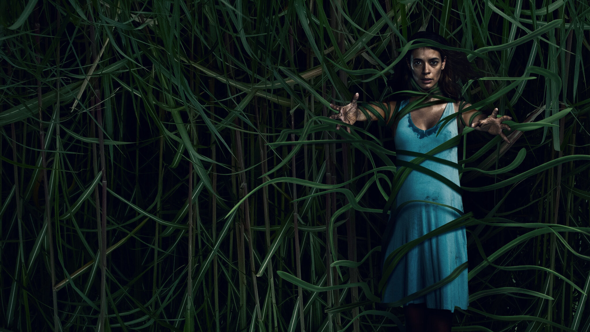  A Démonok között sztárjával jön az új Stephen King horror, itt A magas fűben előzetese