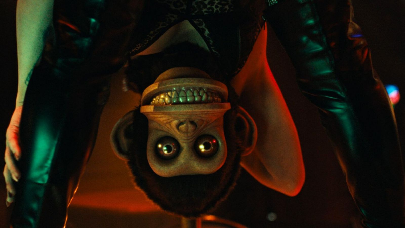 6 új film ezen héten a mozikban: A 13 Oscar-díjra jelölt alkotás és az új Stephen King-horror is jön! (9. hét, 2025) 6 új film ezen héten a mozikban: A 13 Oscar-díjra jelölt alkotás és az új Stephen King-horror is jön! (9. hét, 2025)