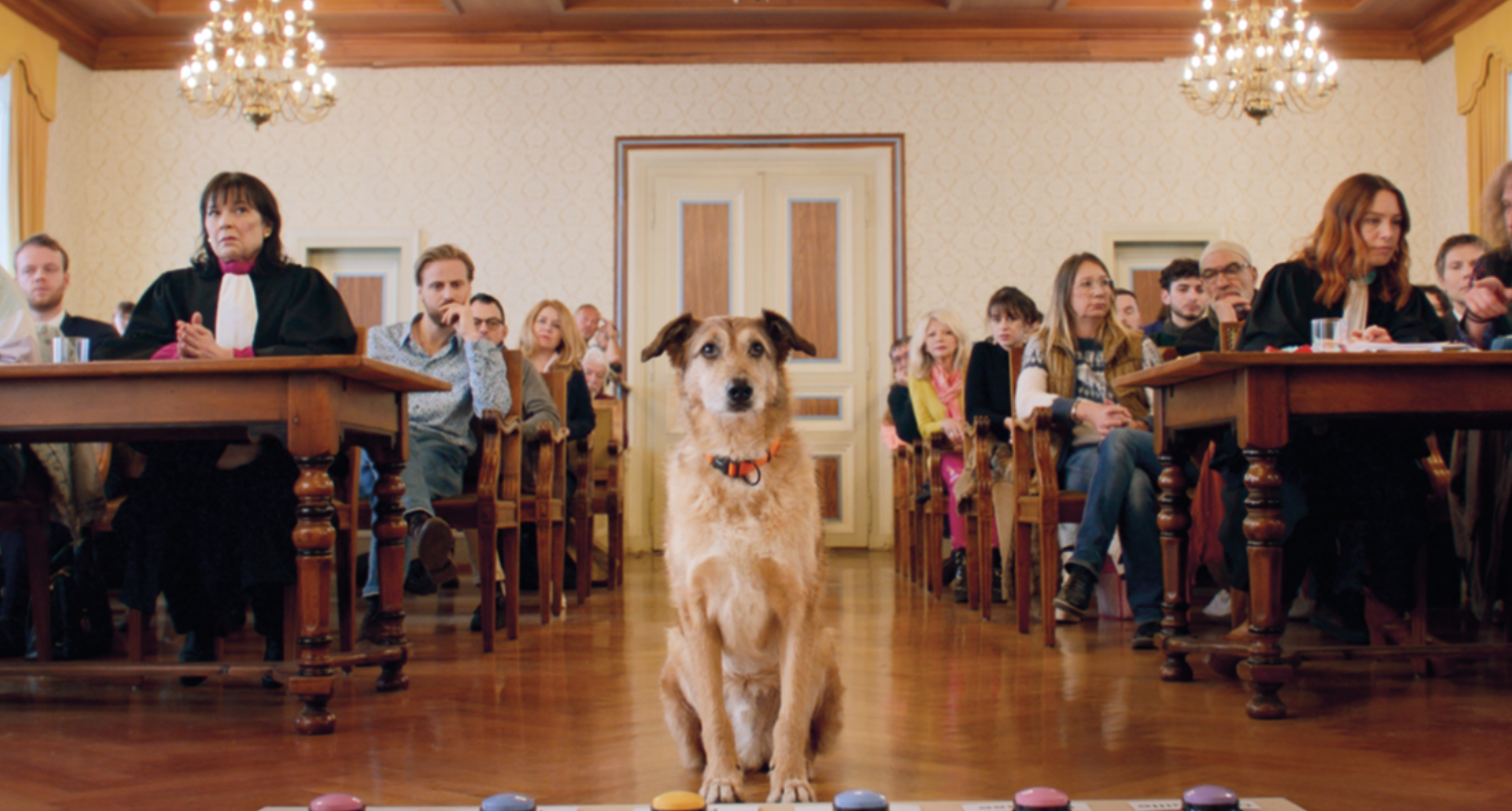Kezdődik a 15. Frankofón Filmnapok