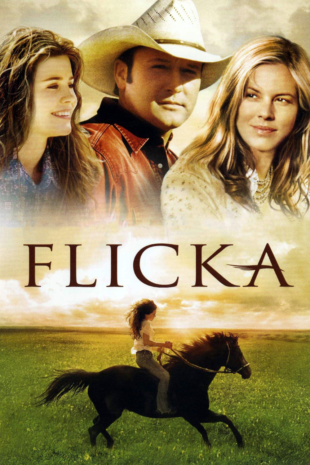 essay from the movie flicka