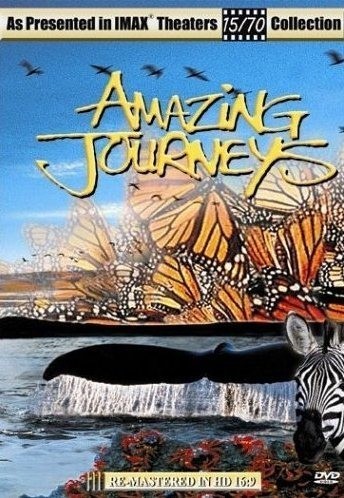 amazing journeys reviews