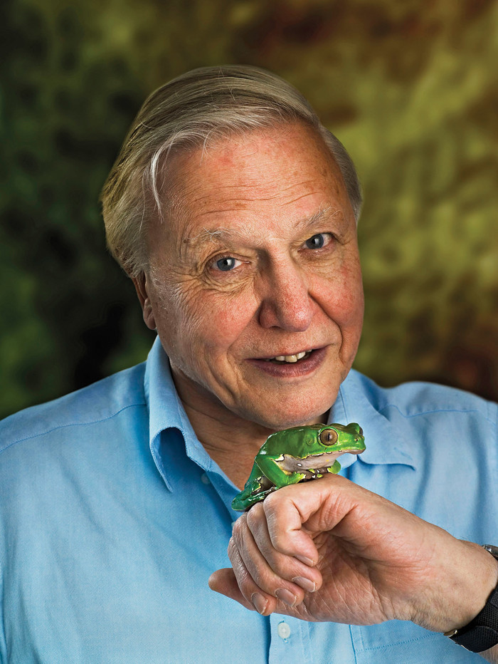 David Attenborough Mafab.hu