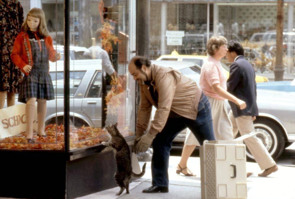 Filmek a Vico által kiadót videókazetták soraiból: Macskaszem 