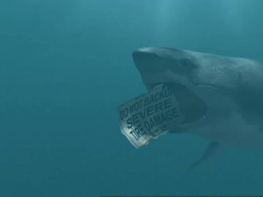 Инстинкт хищника 2004. Инстинкт убийцы книга. Инстинкт хищника risk. Инстинкт хищника. Хищный инстинкт.