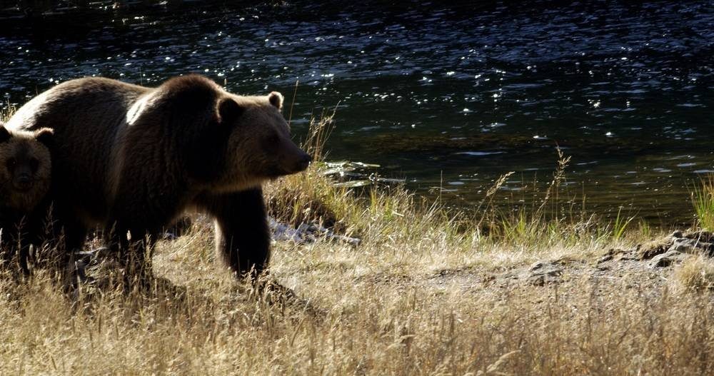 A Földet elpusztító ember jövője